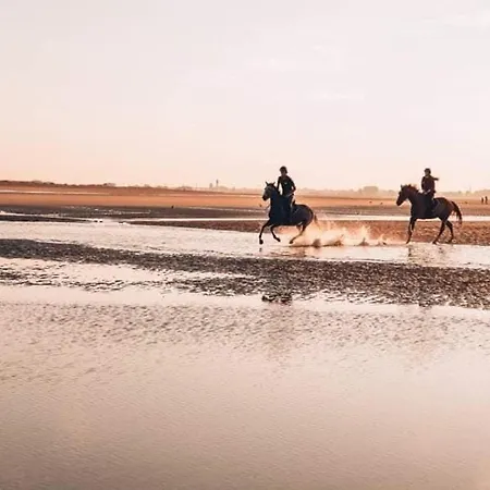 Duplex 3 Pièces, 6 Pers., Vue Mer, Parking Privé - Fr-1-465-130 Appartamento