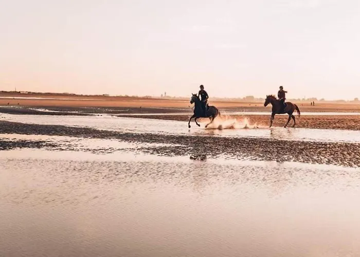 Duplex 3 Pieces, 6 Pers., Vue Mer, Parking Prive - Fr-1-465-130 Apartmán